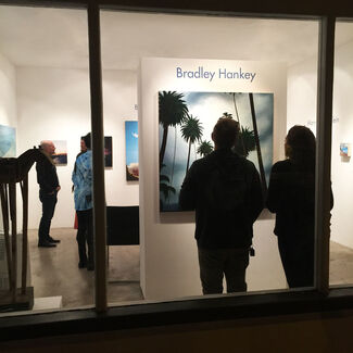 Bradley Hankey - Introducing, installation view