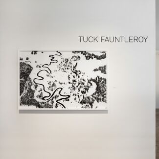 TUCK FAUNTLEROY | WATERLINE, installation view
