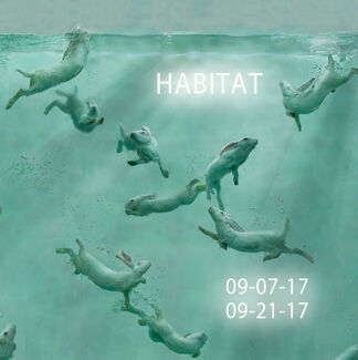 Habitat, installation view