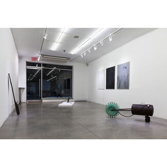 Vital Shift in Central Observer, installation view