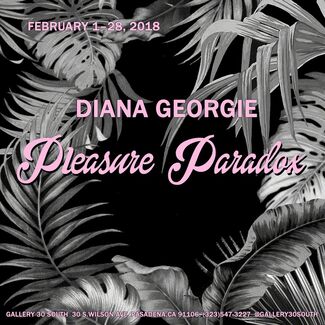 Diana Georgie: Pleasure Paradox, installation view