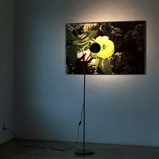 The Singularity is Near, installation view