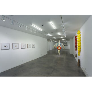 A Sudden Dark Breeze Over My Uncovered Skin, installation view