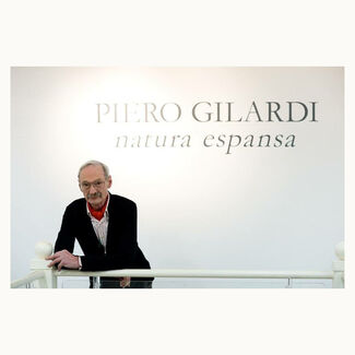 Piero Gilardi. Expanded Nature, installation view