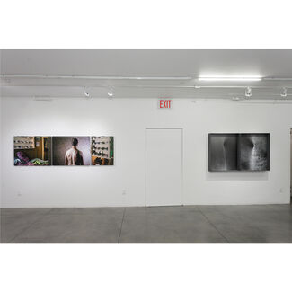 No Greater Fiction, installation view