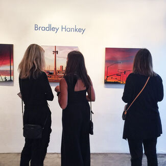 Bradley Hankey - Introducing, installation view
