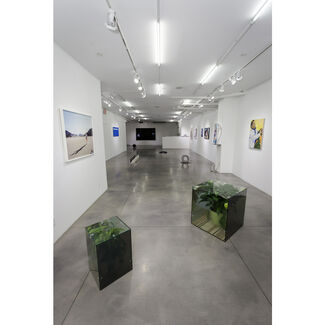 Quality of Life, installation view