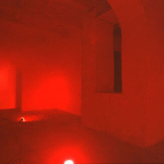 Jaume Plensa - Il suono del sangue parla la stessa lingua, installation view