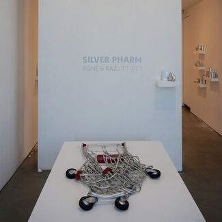 Ronen Raz | Silver Pharm, installation view