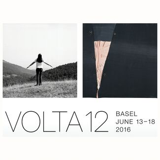 Beta Pictoris Gallery/Maus Contemporary at VOLTA12 Basel 2016, installation view