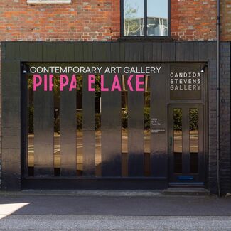 Pippa Blake, QUEST, installation view