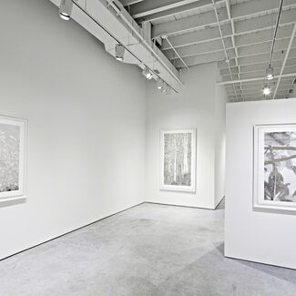 Bill Claps- Natural Abstractions, installation view