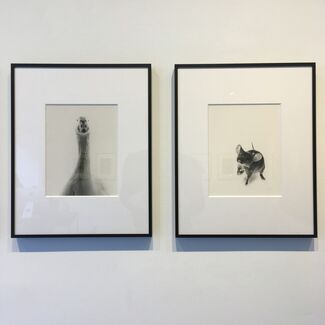 Walter Schels, Tiere / Animals, installation view
