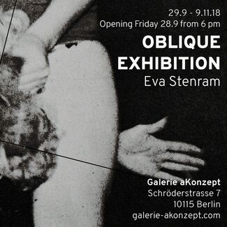 Oblique Exhibition, Eva Stenram, installation view