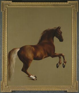 George Stubbs, ‘Whistlejacket’, about 1762