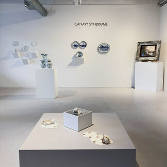 Canary Syndrome, installation view
