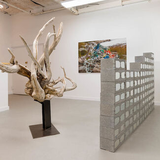 Lat and Long, installation view
