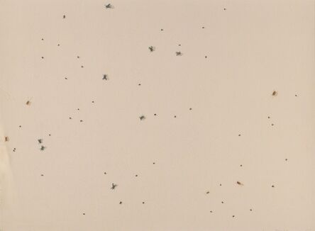 Ed Ruscha, ‘Flies, from Insects’, 1972