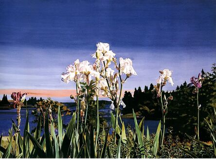 Carolyn Brady, ‘White Irises/Evening’, 1988