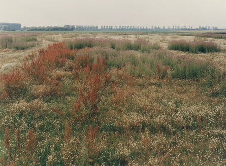 Simone Nieweg, ‘Brachliegendes Land, Lank-Latum (Fallow Land, Lank-Latum)’, 1997