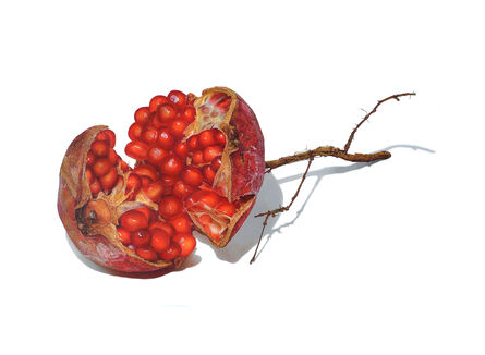 David Morrison, ‘Pomegranate’, 2021