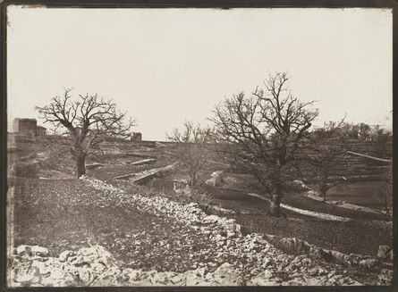 Charles Nègre, ‘Chênes en Hiver (Oak Trees in Winter)’, ca. 1852