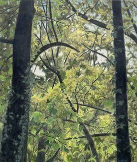 Nick Blosser, ‘Openings of Light in Woods’, 2013