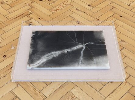 Nina Canell, ‘Near Here (1 Microsecond)’, 2014