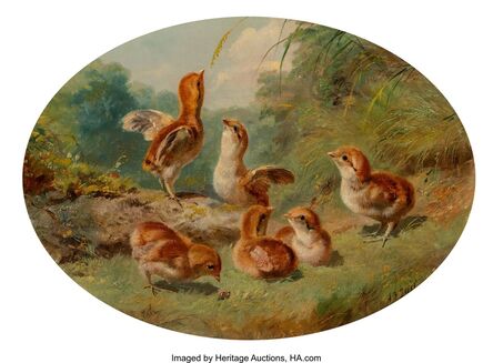Arthur Fitzwilliam Tait, ‘Ruffed Grouse Chicks’, 1860