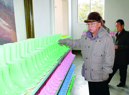 João Rocha, ‘Looking at Rubber Boots, from the book Kim Jong Il Looking at Things’, 2012