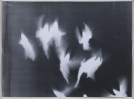 Adam Fuss, ‘From the series "My Ghost"’, 1999