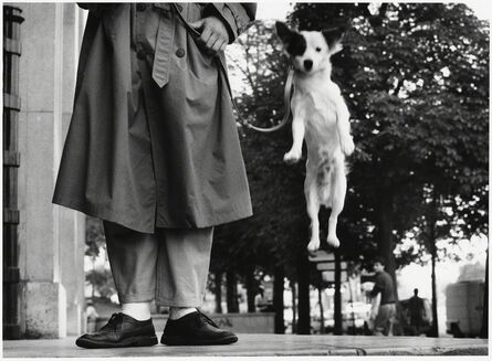 Elliott Erwitt, ‘Paris (dog jumping)’, 1989