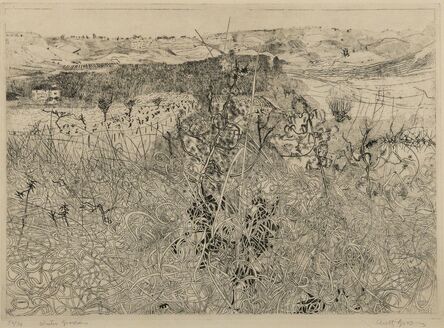 Anthony Gross, ‘Winter Grasses’, 1972