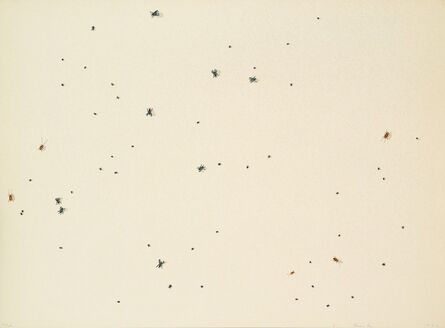 Ed Ruscha, ‘Pearl Dust Combination (from Insects Portfolio)’, 1972