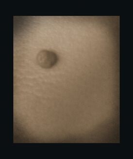 Wang Guangyi 王广义, ‘Part of the Species No.3 物种的局部 3号’, 2015