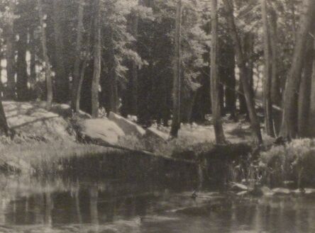 Ansel Adams, ‘Lyell Fork Meadows’, 1927
