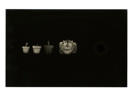 Yamamoto Masao, ‘0280, from A Box of ku’, 1994