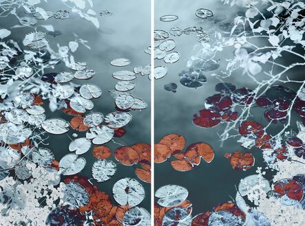 Santeri Tuori, ‘Water Lilies #4’, 2018