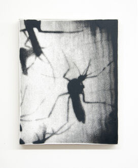 Augustus Nazzaro, ‘Harbingers’, 2017