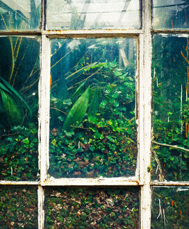 LEE INMI, ‘Vasculum #01’, 2011