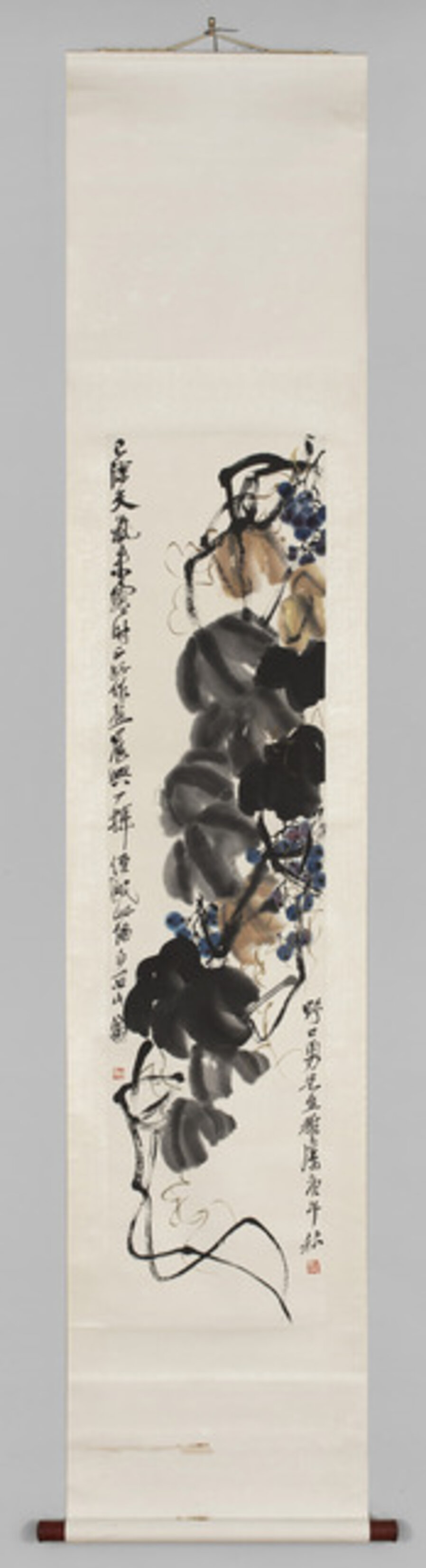 Grapes and Vine
