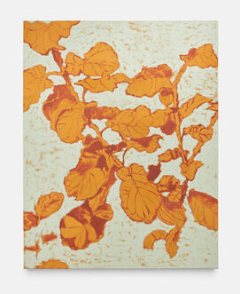 Ximena Maldonado, ‘Untitled’, 2023