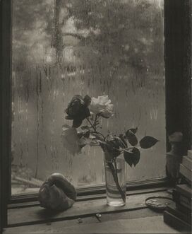 Josef Sudek, ‘La Dernière Rose’, 1959