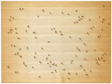 Ed Ruscha, ‘Cockroaches (from Insects Portfolio)’, 1972