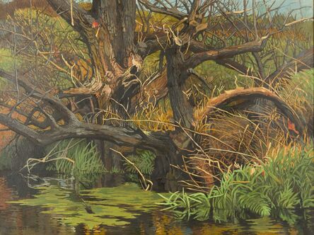 Anne Lyman Powers, ‘Willow Swamp’, 1989