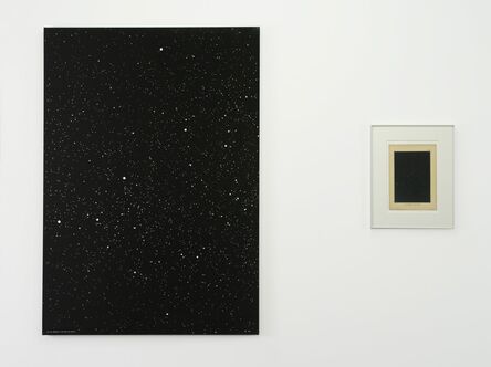Ni Youyu 倪有鱼, ‘Cygnus (constellation)’, 2017