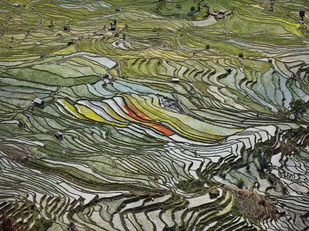 Edward Burtynsky, ‘Rice Terraces #2, Western Yunnan Province, China’, 2012