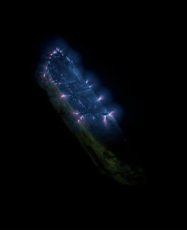 Marjolijn Dijkman, ‘Earthing Discharge #1’, 2019