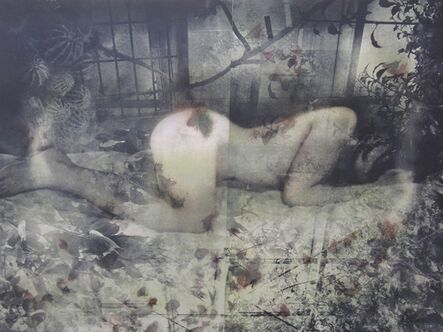 Misako Kobayashi, ‘Inviolate Territory’, 2010