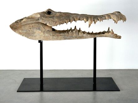 Quentin Garel, ‘Study of Crocodile’, 2010